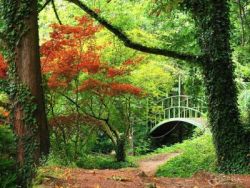 Botanischer Garten mit Brücke
