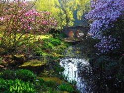 Jap.-Chin. Bachlauf mit Blick auf Brücke